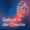 Geburt in der Charité