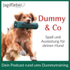 Dummy & Co - der Hundepodcast für artgerechte Beschäftigung