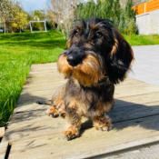 Wie der Pod so der Cast 