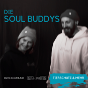 DIE SOUL BUDDYS