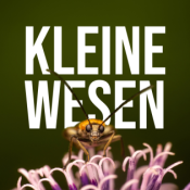 Kleine Wesen - Große Verantwortung