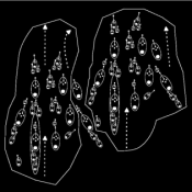 Endosymbiotische Komputation