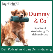 Dummy & Co - der Hundepodcast für artgerechte Beschäftigung