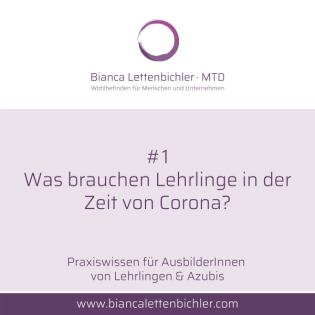 Praxiswissen für AusbilderInnen von Lehrlinge & Azubis