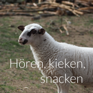 Hören, kieken, snacken 
