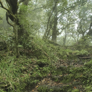 Geräusche aus der Nähe