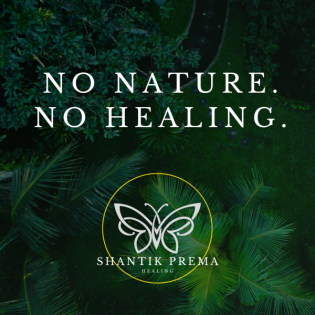 No Nature. No Healing.