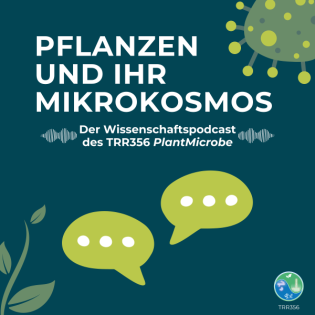 Pflanzen und ihr Mikrokosmos