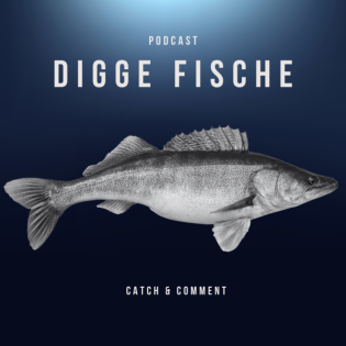 DIGGE FISCHE