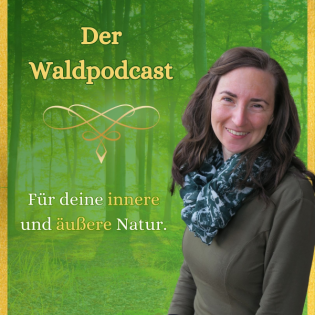 Waldpodcast - für deine innere & äußere Natur