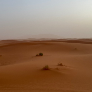 Von Pol bis Äquator