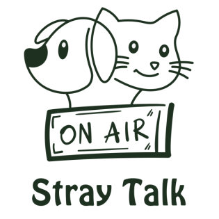 Stray Talk