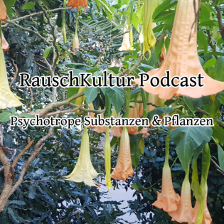 RauschKultur - Der Podcast zu Drogen & psychoaktiver Kultur