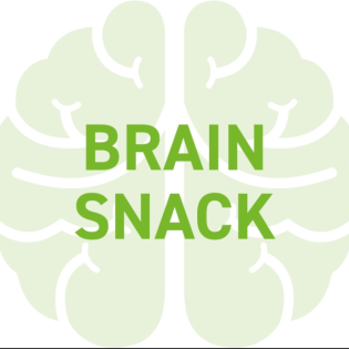 Brain Snack