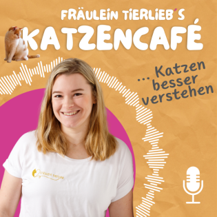 Katzencafé - Katzen besser verstehen
