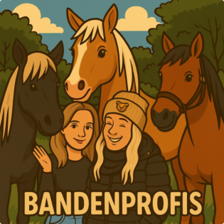 Die Bandenprofis