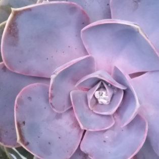 Vertonte christliche Erzählungen für die Kinderkirche