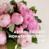 Juni Magie : deine astrologische Monatsvorschau Download