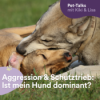 Aggression & Schutztrieb: Ist mein Hund dominant? Download