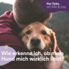 Wie erkenne ich, ob mein Hund mich wirklich liebt? Download