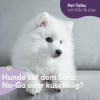 Hunde auf dem Sofa: Kuschelig oder ein No-Go? Download