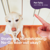 Strafen im Hunde-Training: No-Go oder voll okay? Download