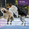 Hunde-Begegnungen: 3 Tipps, damit alles entspannt bleibt Download