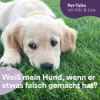Weiß mein Hund, wenn er etwas falsch gemacht hat? Download
