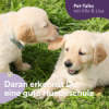 37. Daran erkennst Du eine gute Hundeschule Download