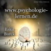 Video: Psychologie der unbewussten Beeinflussung (Das manipulierte Gehirn) Download