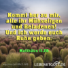 Jesus will Dir Ruhe geben! Download