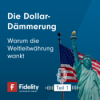 Die Dollar-Dämmerung: Warum die Weltleitwährung wankt – Teil 1 Download