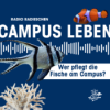 Christian Sänger: Der "Fisch-Sitter" am Campus Download