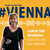 Der Prater als Labor der Moderne Download