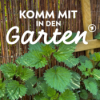 Brennnessel: Darum sollte sie in jedem Garten wachsen Download