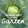 Problemgemüse Kohl - was lohnt sich? Download