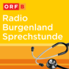 Radio Burgenland: Sprechstunde: Gelenksschmerzen richtig deuten