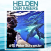 Wal-Begegnungen - mit Unterwasser-Filmer Peter Schneider Download