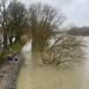 Bayern als Hochwasser-Risikofall: Wie steht es um den Hochwasserschutz im Freistaat? Download