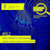 Das Gehirn verstehen – Signale, Bewusstsein und Plastizität