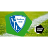 So wird der VfL Bochum in Hamburg gesehen Download