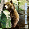 Tierwelt Wissen - Araber Download
