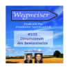 #232 Dimensionen des Bewusstseins Download