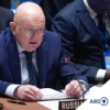 UN-Sicherheitsrat: USA kritisieren Russland deutlich Download