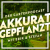 Episode 37: Die Mehrzahl von Jens