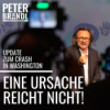 Eine Ursache reicht nicht - Hintergründe zum Crash in Washington
