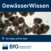 Den Algen auf der Spur Download
