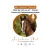 #55 Heute mutig, morgen ängstlich? Warum dein Pferd sich nicht anstellt Download