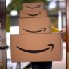 30 Jahre Amazon - Licht- und Schattenseiten eines Handelsmonopolisten Download