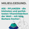 #35 - Pflanzen – die kleinsten und perfektesten Vitaminfabriken der Welt mit Mag. Barbara Kocher Download
